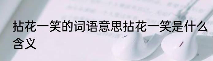 拈花一笑的词语意思拈花一笑是什么含义