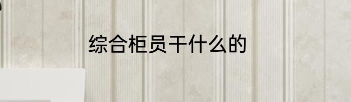 综合柜员干什么的