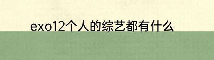 exo12个人的综艺都有什么