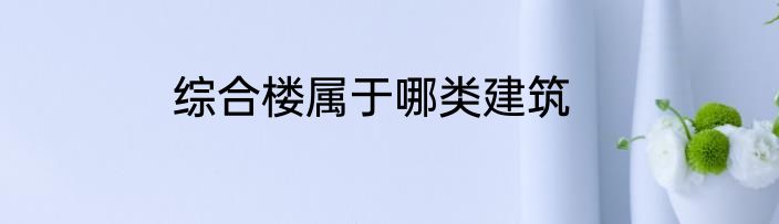 综合楼属于哪类建筑