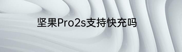 坚果Pro2s支持快充吗