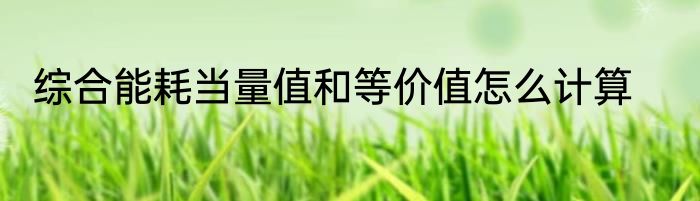 综合能耗当量值和等价值怎么计算