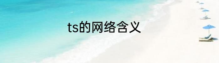 ts的网络含义