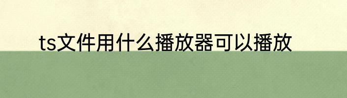 ts文件用什么播放器可以播放