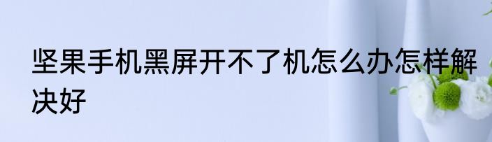 坚果手机黑屏开不了机怎么办怎样解决好