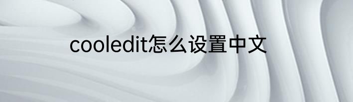 cooledit怎么设置中文