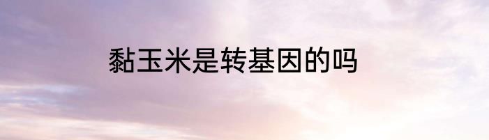 黏玉米是转基因的吗
