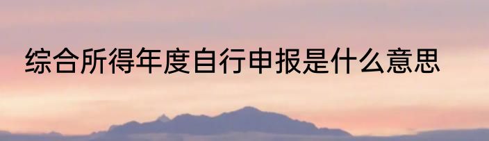 综合所得年度自行申报是什么意思