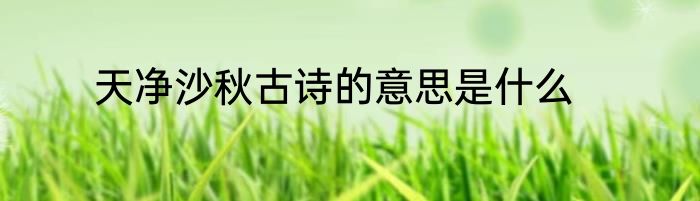 天净沙秋古诗的意思是什么