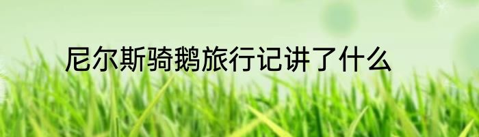 尼尔斯骑鹅旅行记讲了什么