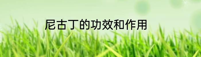 尼古丁的功效和作用