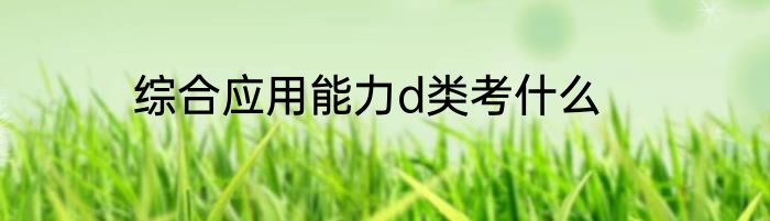 综合应用能力d类考什么