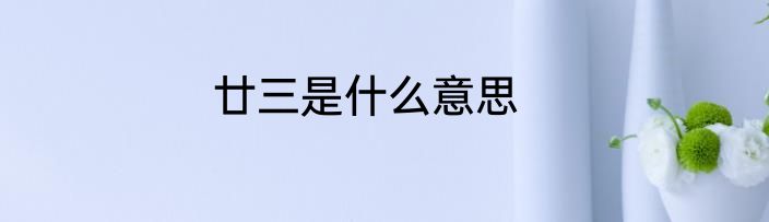 廿三是什么意思
