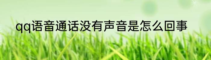 qq语音通话没有声音是怎么回事