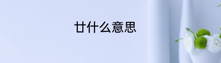 廿什么意思