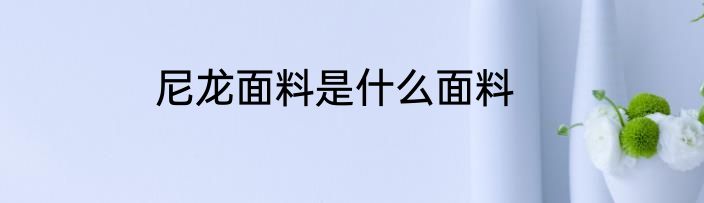尼龙面料是什么面料