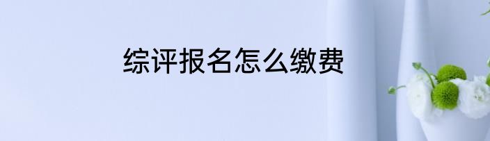 综评报名怎么缴费