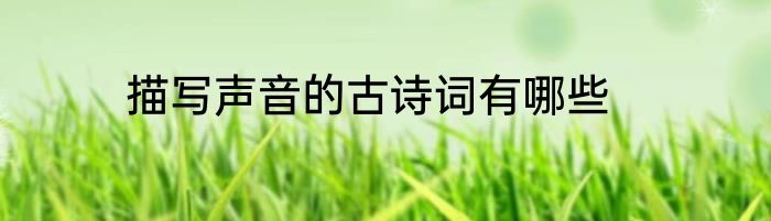 描写声音的古诗词有哪些