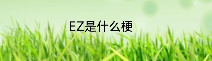 EZ是什么梗