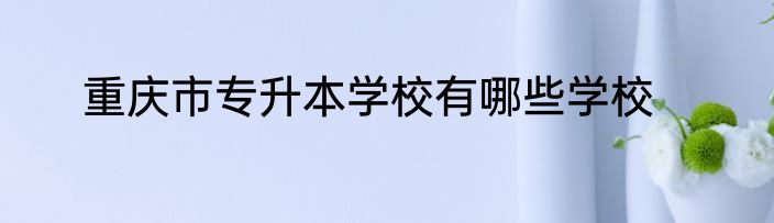 重庆市专升本学校有哪些学校