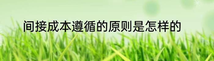 间接成本遵循的原则是怎样的