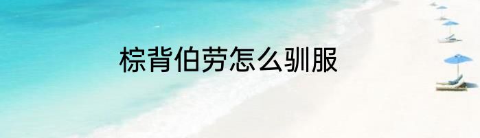 棕背伯劳怎么驯服