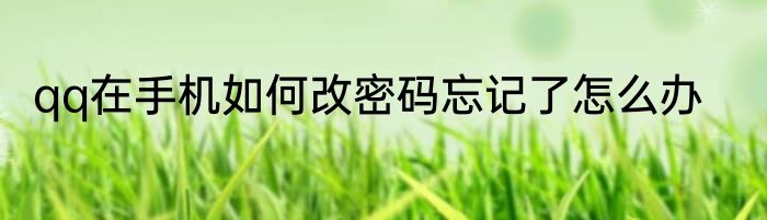 qq在手机如何改密码忘记了怎么办