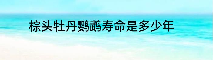 棕头牡丹鹦鹉寿命是多少年