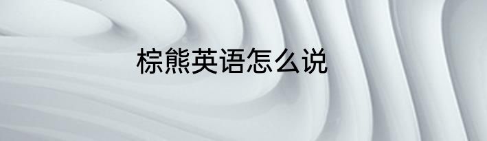 棕熊英语怎么说