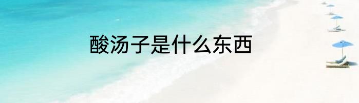 酸汤子是什么东西