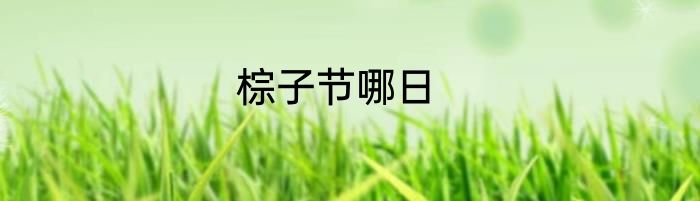 棕子节哪日