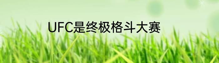 UFC是终极格斗大赛