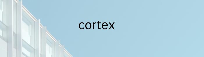 cortex