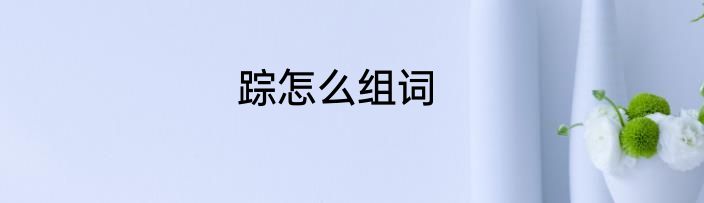 踪怎么组词