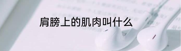 肩膀上的肌肉叫什么