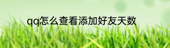 qq怎么查看添加好友天数
