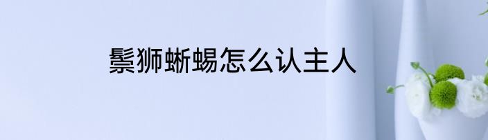 鬃狮蜥蜴怎么认主人