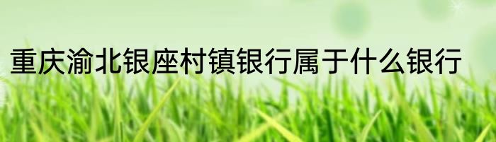 重庆渝北银座村镇银行属于什么银行