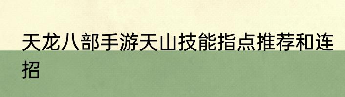 天龙八部手游天山技能指点推荐和连招