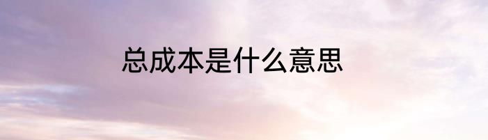总成本是什么意思