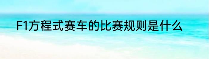 F1方程式赛车的比赛规则是什么
