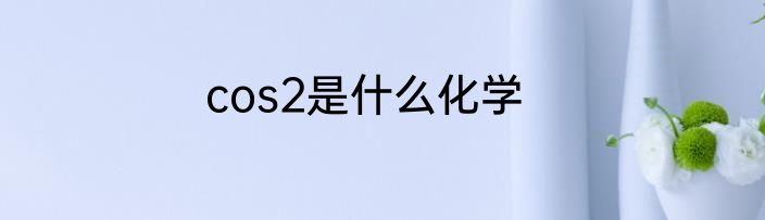 cos2是什么化学