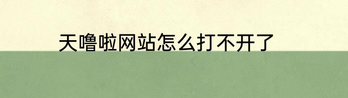 天噜啦网站怎么打不开了