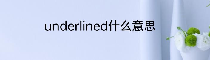 underlined什么意思