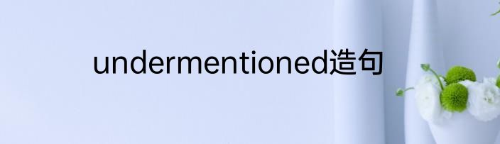 undermentioned造句