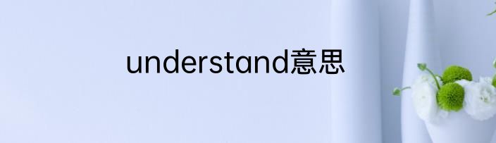 understand意思