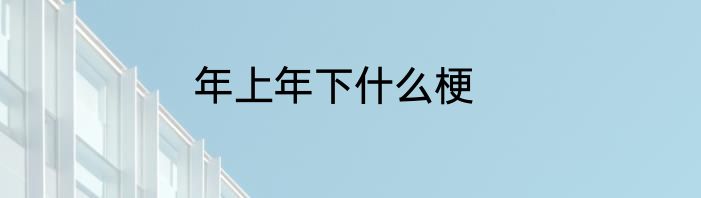 年上年下什么梗