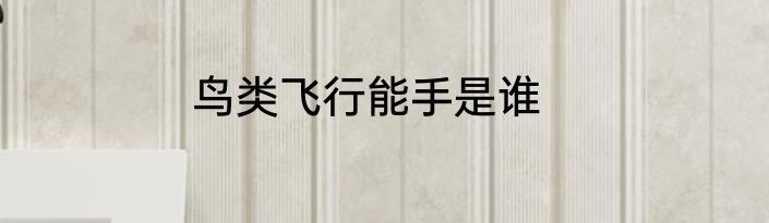 鸟类飞行能手是谁
