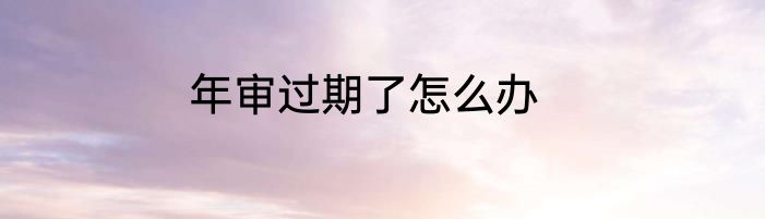 年审过期了怎么办