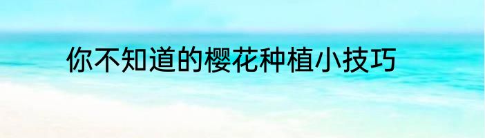 你不知道的樱花种植小技巧